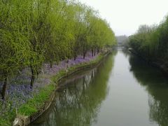 android_upload_pic-溱湖国家湿地公园