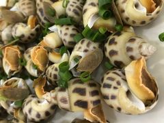 -双月饭店·20年老字号(新村店)