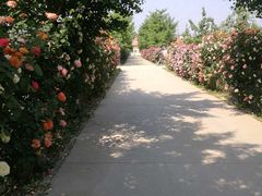 -意大利农场度假村