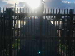 -美国村