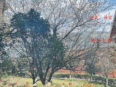 -韶关经律论国际酒店温泉