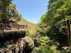 -莫干山风景区