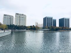 -南翔镇银翔湖公园