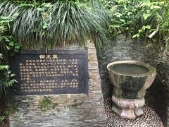-十八棵（老龙井）御茶园(老龙井店)