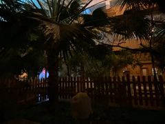 -陆地游轮吉林神农温泉