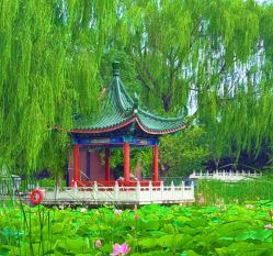 -宝馨月月子中心(友谊医院店)