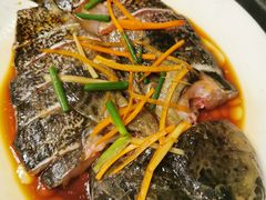 龙胆鱼-蔚海之都·象山蒸汽海鲜(仙霞路店)