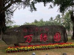 -万绿园