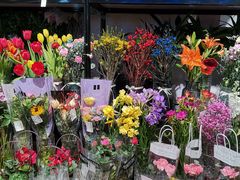 -盒马鲜生(大成店)