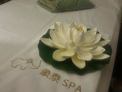 -象泰SPA·泰式按摩·足疗(卓悦中心店)