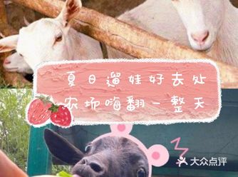 杭州遛娃好去处天空农场嗨一天