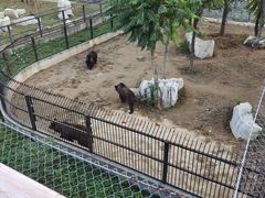 -石家庄市动物园