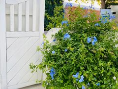 -BLUE HOUSE咖啡