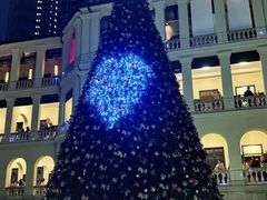 -中环半山扶手电梯