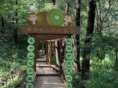 -大岭沟猕猴桃谷风景区