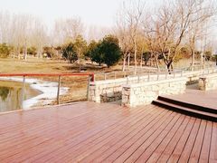 -东郊湿地公园