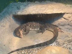 -上海大自然野生昆虫馆