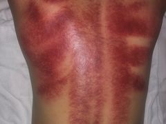 -春会馆(茂名北路店)