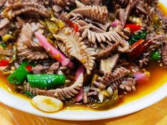 -春涛餐馆(下坝店)