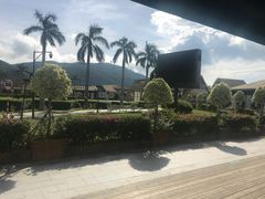-亚龙湾国际玫瑰谷