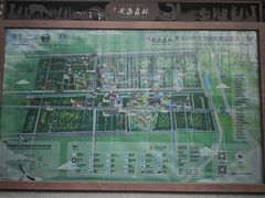 -黄海国家森林公园