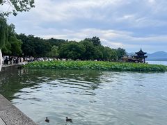 -李犟大爆鳝面·手工蟹黄包(湖滨西湖店)