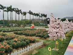 -盈香心动乐园