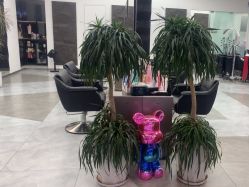 -ON STAR SALON