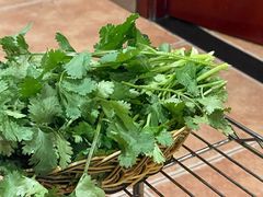 -老诚一锅(惠新西街店)