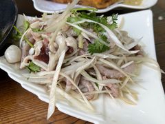 -鲁前海沿儿