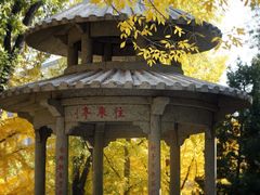 -玲珑塔公园