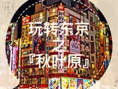 -秋叶原电器街