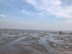 -南汇新城海滩