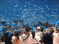 -多彩贵州城极地海洋世界