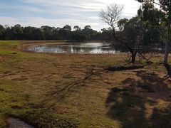 -威勒比开放式动物园