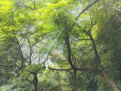 -成都老君山