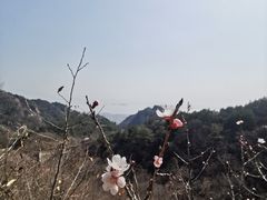 -云峰山自然风景区