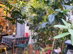 -咖法森林·咖啡  酒吧(天河店)