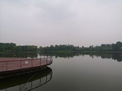 -东郊湿地公园
