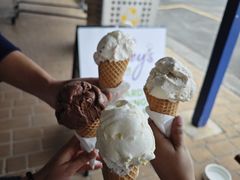 -Dooley's Premium Ice Cream