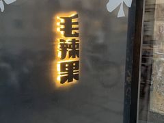 -毛辣果·酸