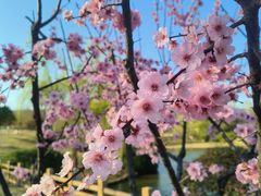 -钟山体育运动公园