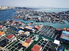 -蓝湾碧波·老字号·疍家非遗海上餐厅