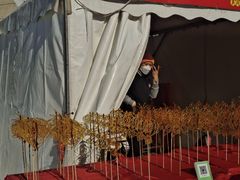 -沈阳奥体冰雪嘉年华