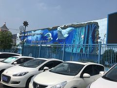 -芜湖新华联大白鲸海洋公园