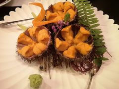 活海胆-希望日本料理(保利香槟花园店)