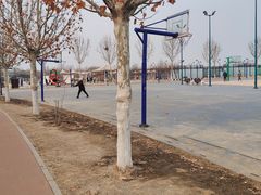-水西公园