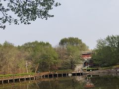 -云岗森林公园