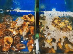 -深圳湾万怡酒店