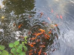 -五泄景区
